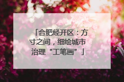 合肥经开区：方寸之间，细绘城市治理“工笔画”