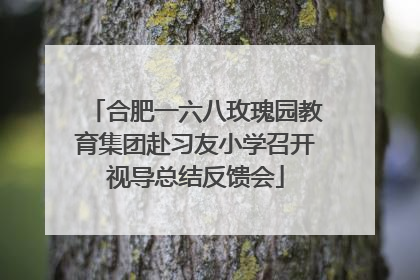 合肥一六八玫瑰园教育集团赴习友小学召开视导总结反馈会