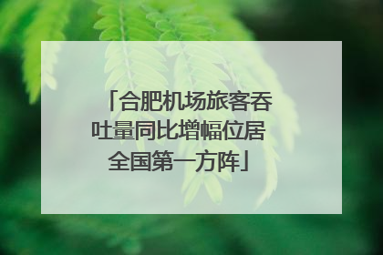 合肥机场旅客吞吐量同比增幅位居全国第一方阵