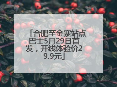 合肥至金寨站点巴士5月29日首发，开线体验价29.9元