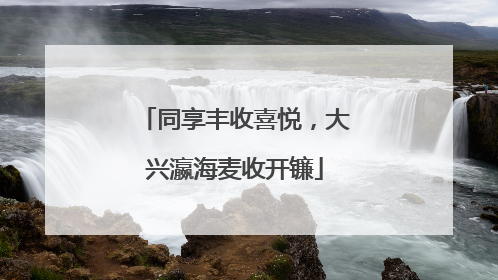 同享丰收喜悦，大兴瀛海麦收开镰
