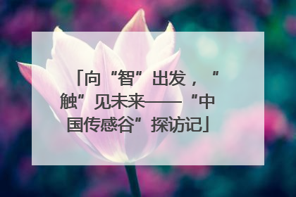 向“智”出发，“触”见未来——“中国传感谷”探访记