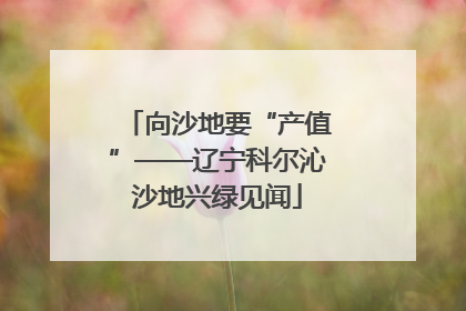 向沙地要“产值”——辽宁科尔沁沙地兴绿见闻