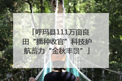 呼玛县111万亩良田“播种收官”科技护航蓄力“金秋丰景”