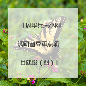 周华兵未小刚调研督导重点项目建设（图）