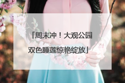 周末冲！大观公园双色睡莲惊艳绽放