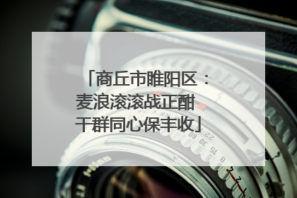 商丘市睢阳区：麦浪滚滚战正酣 干群同心保丰收