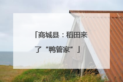商城县：稻田来了“鸭管家”