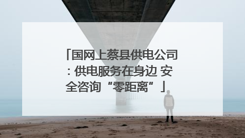 国网上蔡县供电公司：供电服务在身边 安全咨询“零距离”