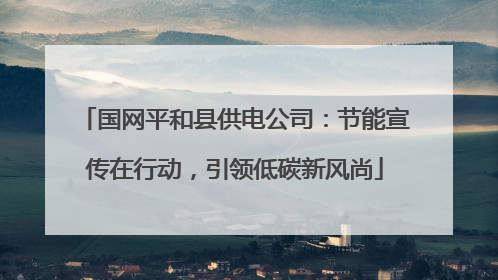 国网平和县供电公司：节能宣传在行动，引领低碳新风尚
