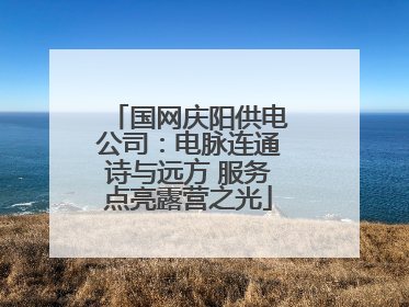 国网庆阳供电公司：电脉连通诗与远方 服务点亮露营之光