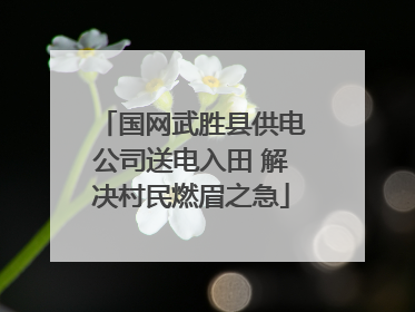 国网武胜县供电公司送电入田 解决村民燃眉之急