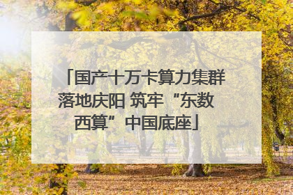 国产十万卡算力集群落地庆阳 筑牢“东数西算”中国底座