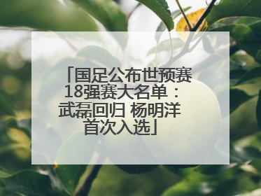 国足公布世预赛18强赛大名单：武磊回归 杨明洋首次入选