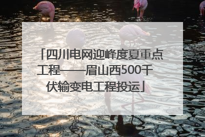 四川电网迎峰度夏重点工程——眉山西500千伏输变电工程投运