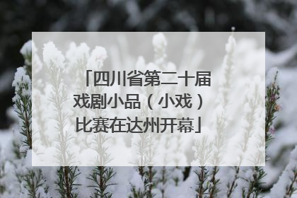 四川省第二十届戏剧小品（小戏）比赛在达州开幕
