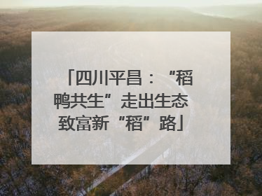四川平昌：“稻鸭共生”走出生态致富新“稻”路
