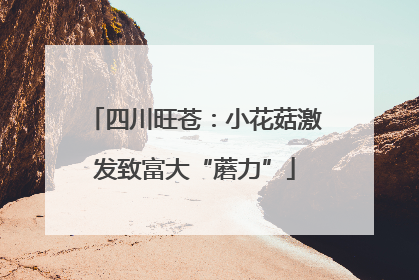 四川旺苍：小花菇激发致富大“蘑力”