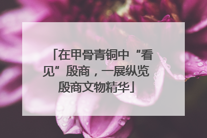 在甲骨青铜中“看见”殷商，一展纵览殷商文物精华