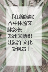 在绵绵粽香中体验文脉悠长——郑州文博织出端午文化新风景