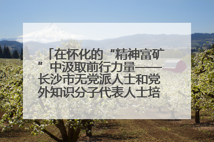 在怀化的“精神富矿”中汲取前行力量——长沙市无党派人士和党外知识分子代表人士培训班在怀化圆满举办