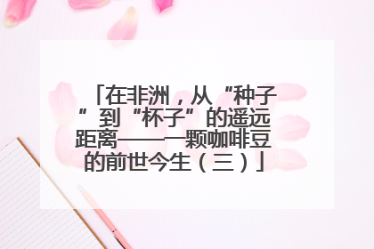 在非洲，从“种子”到“杯子”的遥远距离——一颗咖啡豆的前世今生（三）