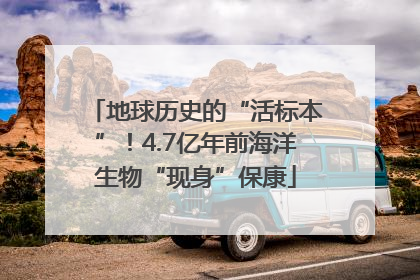 地球历史的“活标本”！4.7亿年前海洋生物“现身”保康