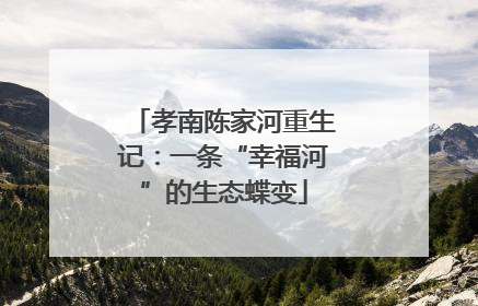 孝南陈家河重生记：一条“幸福河”的生态蝶变