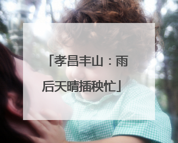 孝昌丰山：雨后天晴插秧忙