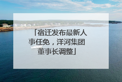 宿迁发布最新人事任免，洋河集团董事长调整