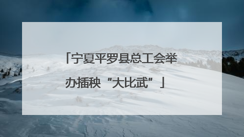 宁夏平罗县总工会举办插秧“大比武”