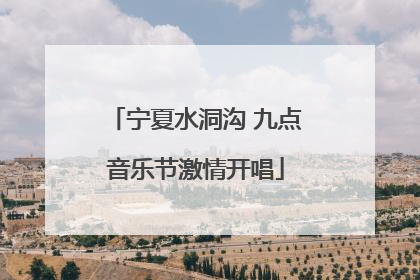 宁夏水洞沟 九点音乐节激情开唱