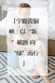宁夏青铜峡：以“新”破题 向“绿”而行