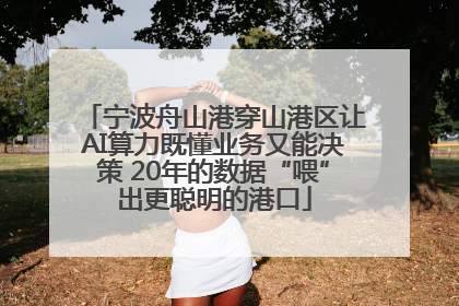 宁波舟山港穿山港区让AI算力既懂业务又能决策 20年的数据“喂”出更聪明的港口