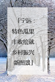 宁远：特色瓜果丰收绘就乡村振兴新图景