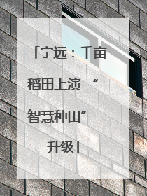 宁远：千亩稻田上演 “智慧种田” 升级