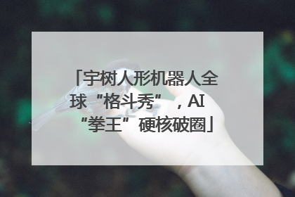 宇树人形机器人全球“格斗秀”，AI“拳王”硬核破圈