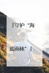 守护“海底雨林”