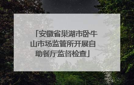 安徽省巢湖市卧牛山市场监管所开展自助餐厅监督检查