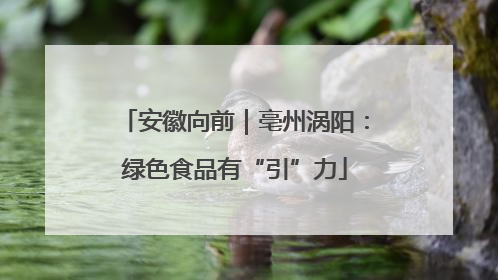 安徽向前｜亳州涡阳：绿色食品有“引”力