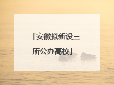 安徽拟新设三所公办高校