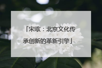 宋歌：北京文化传承创新的革新引擎