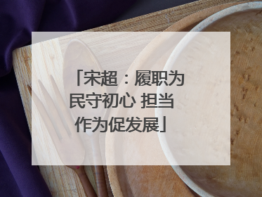 宋超：履职为民守初心 担当作为促发展