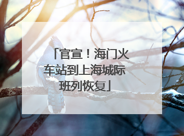 官宣！海门火车站到上海城际班列恢复