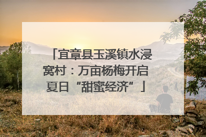 宜章县玉溪镇水浸窝村：万亩杨梅开启夏日“甜蜜经济”