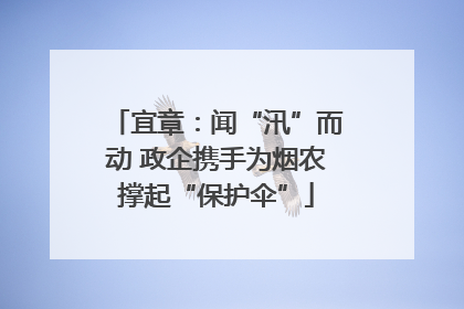 宜章：闻“汛”而动 政企携手为烟农撑起“保护伞”