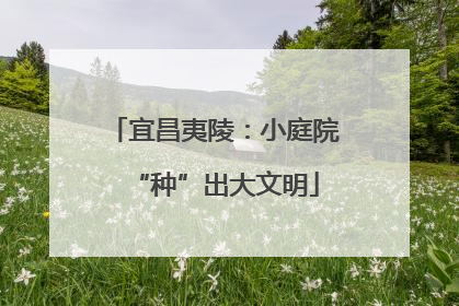 宜昌夷陵：小庭院“种”出大文明