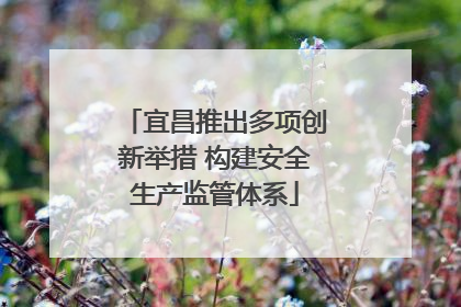 宜昌推出多项创新举措 构建安全生产监管体系