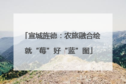 宣城旌德：农旅融合绘就“莓”好“蓝”图