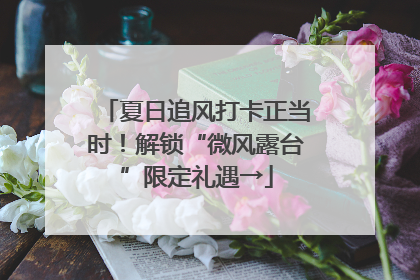 夏日追风打卡正当时！解锁“微风露台”限定礼遇→
